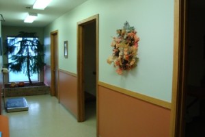 Gallery | Celina Animal Hospital