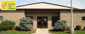 Gallery | Celina Animal Hospital