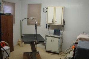 celina rd grooming room