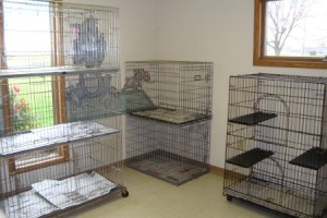 Gallery | Celina Animal Hospital