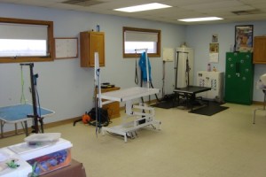 cpc grooming room 1