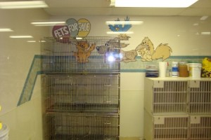 cpc puppy room